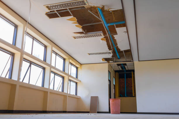 Best Professional water damage repair  in New Union, TN