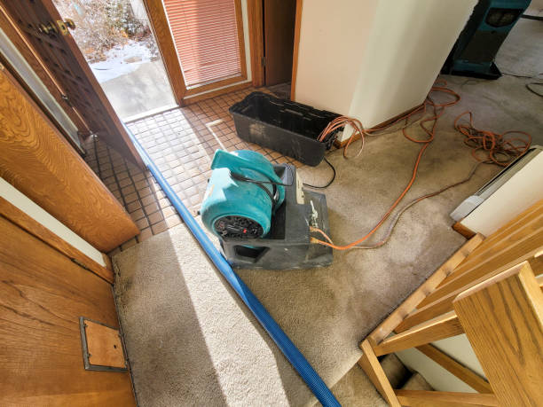 Best Flood damage cleanup  in New Union, TN