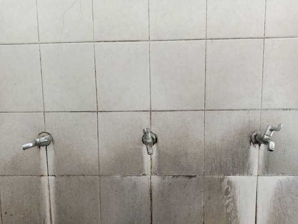  New Union, TN Water damage restoration Pros