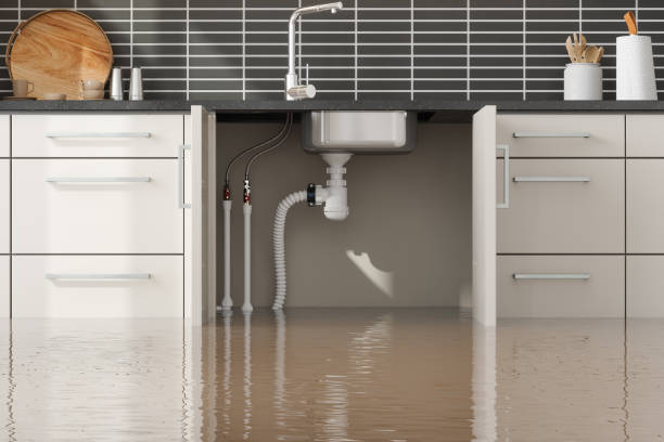 Best Fire Damage Restoration  in New Union, TN
